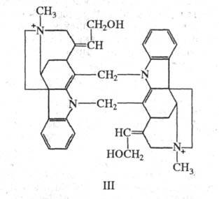 6049-13.jpg